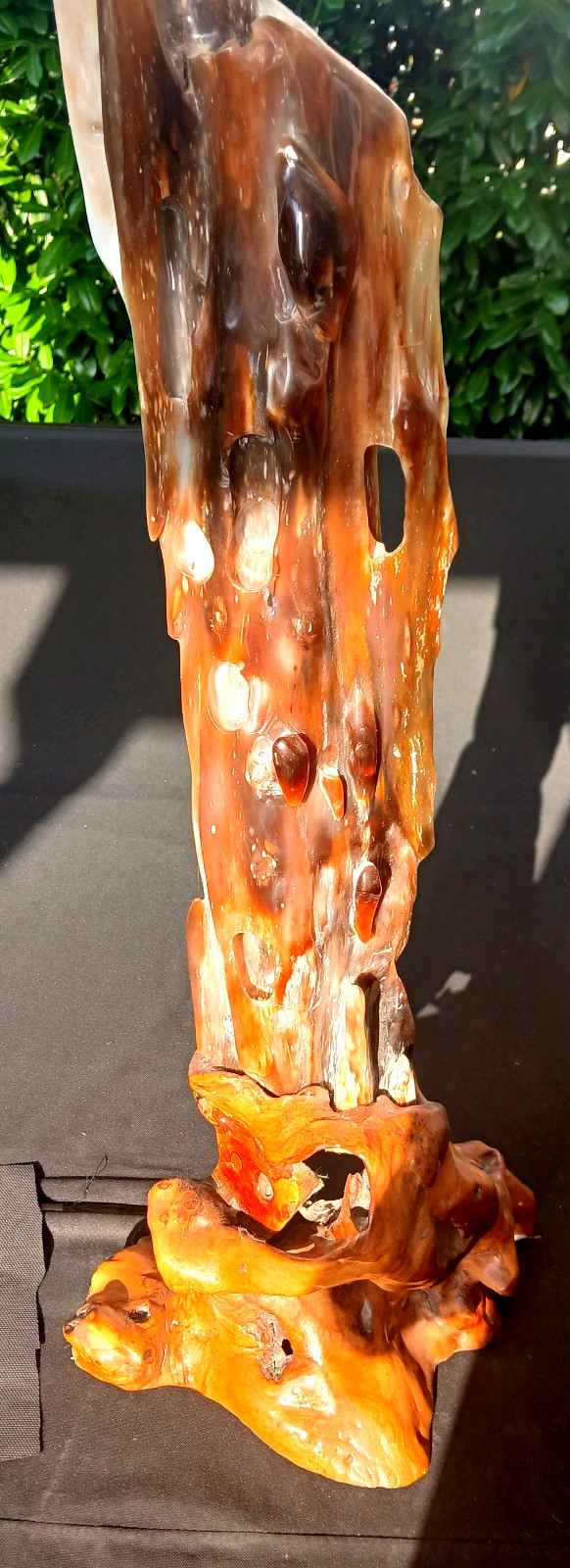 77cm petrified tree bark Indonesia petrified wood giant natural sculpture