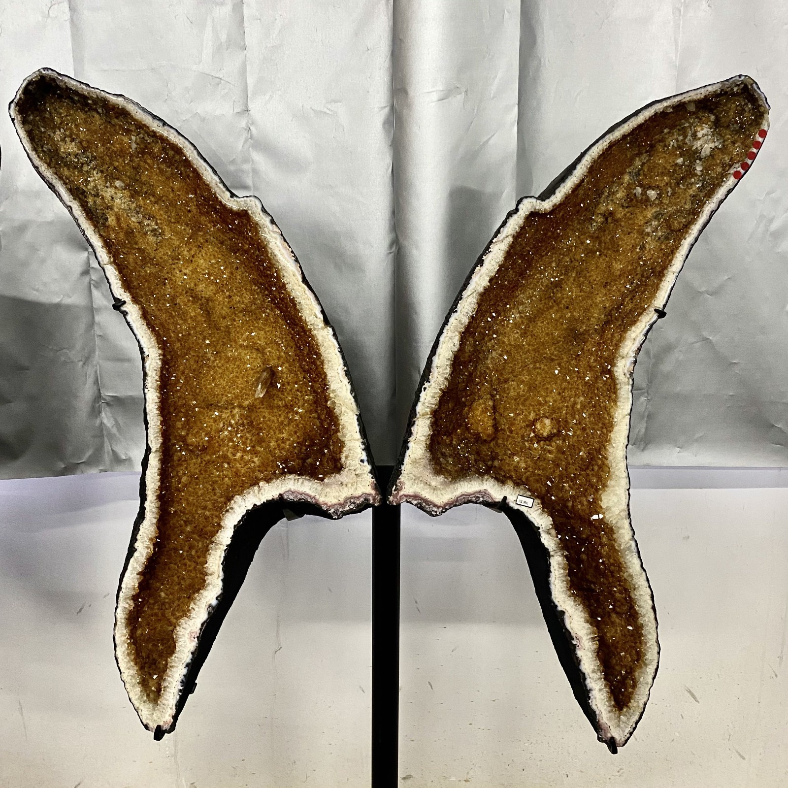 255LB Top natural citrine churches, cathedrals, and earth butterfly wings-