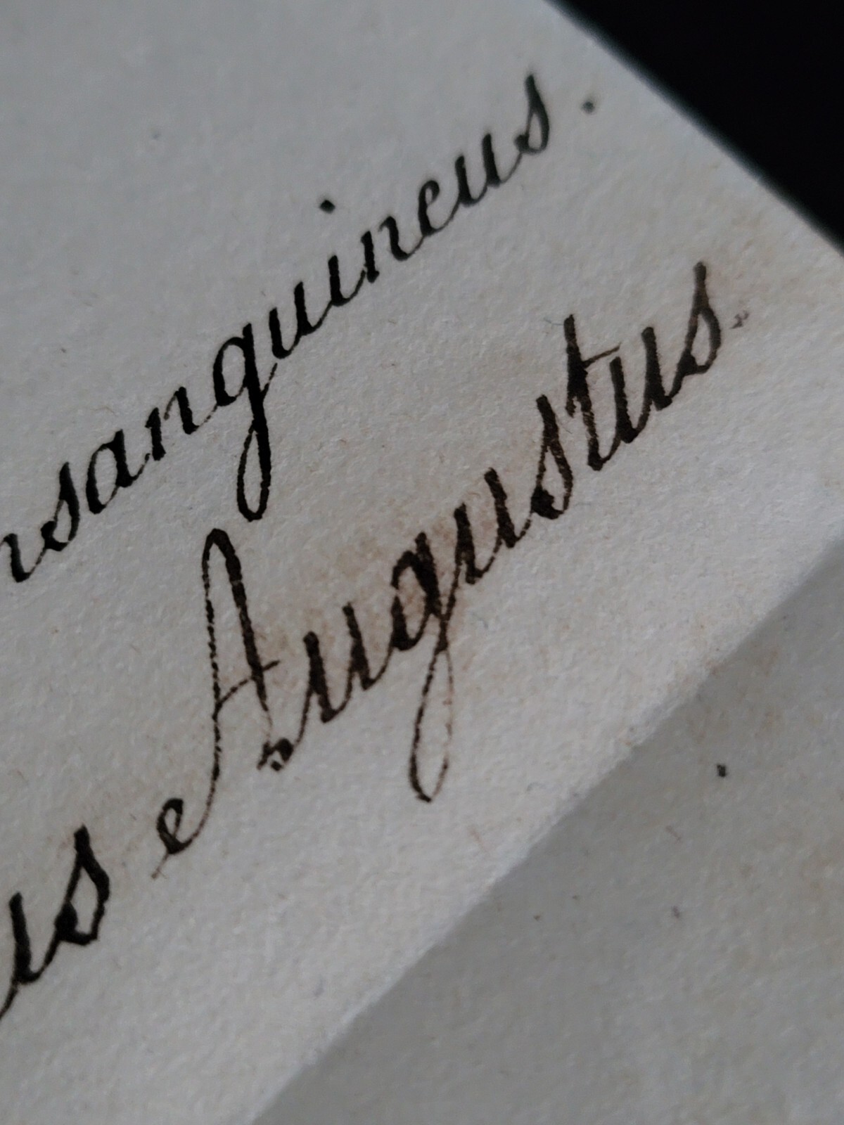 Saxony King Frederick Augustus I Signed Royal Letter to King Ferdinand I Sicily
