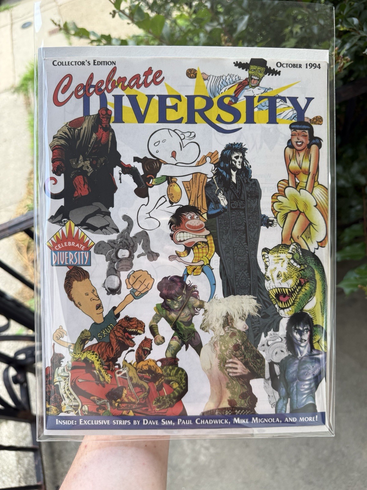 Celebrate Diversity 1994 Diamond Sampler, HTF Early Hellboy Appearance NM Celebrate Diversity 1994 Diamond Sampler, HTF Early Hellboy Appearance NM
