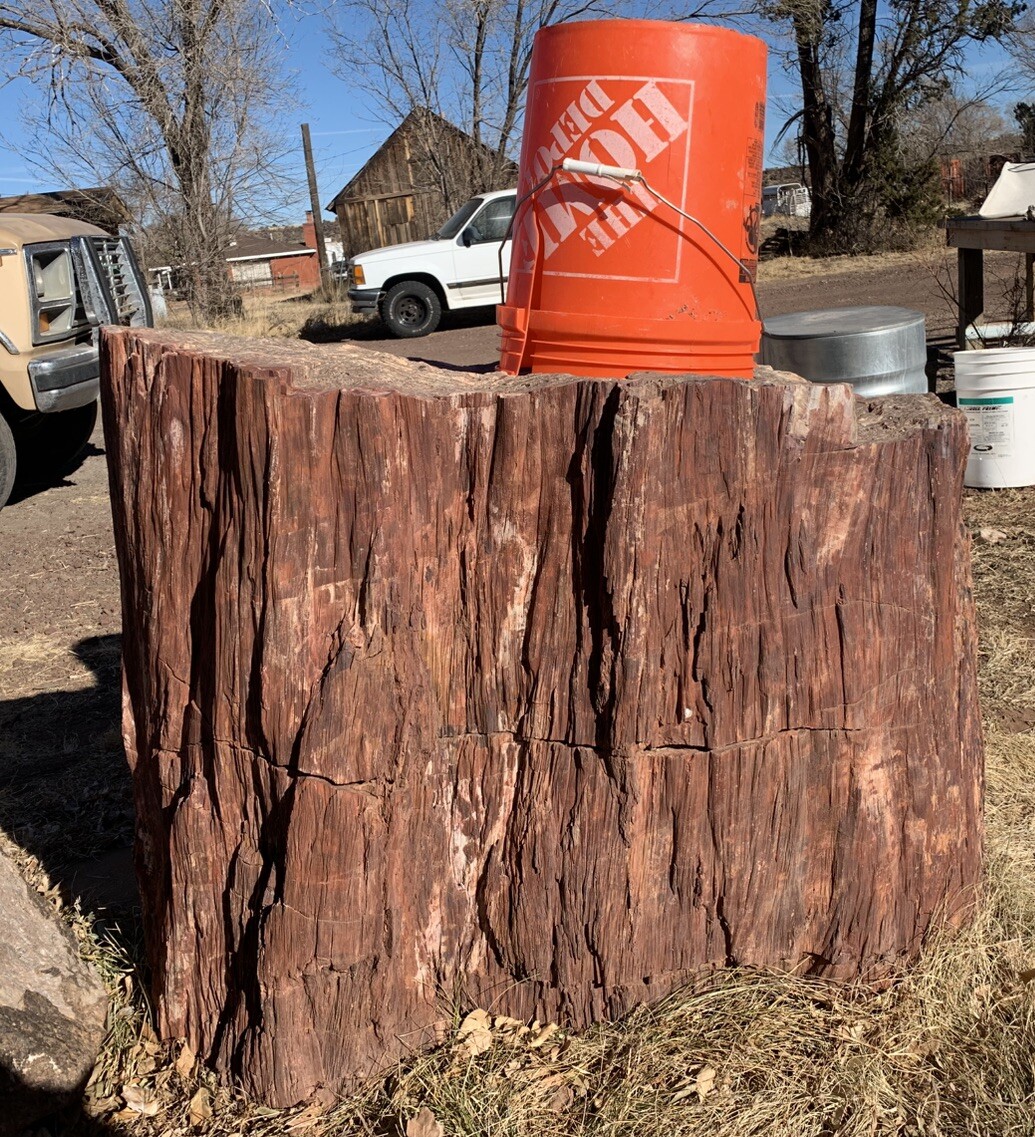 ☘️RR⚒: GIANT Petrified Wood Stump, Tons Of Character, NE AZ. 38”x 33” X 27”