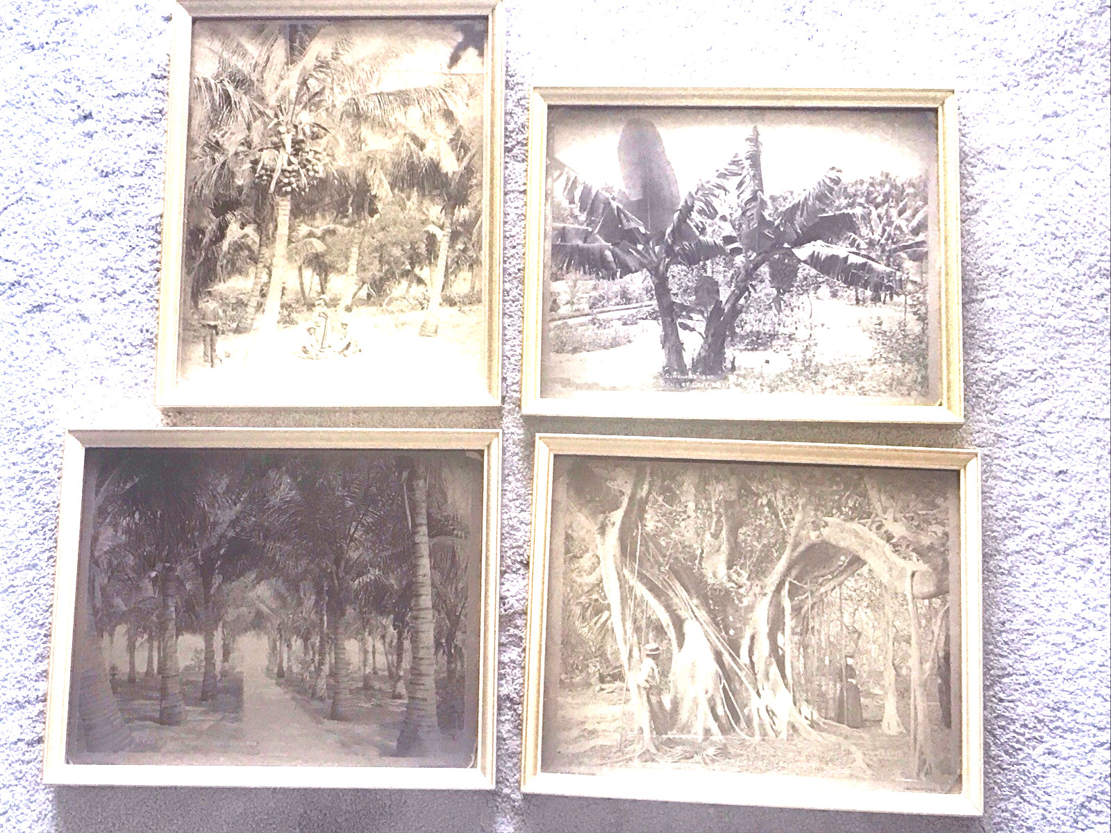 4 DIFFERENT ORIGINAL FRAMED 1890’s Photographs LAKE WORTH, FLORIDA 4 DIFFERENT ORIGINAL FRAMED 1890’s Photographs LAKE WORTH, FLORIDA