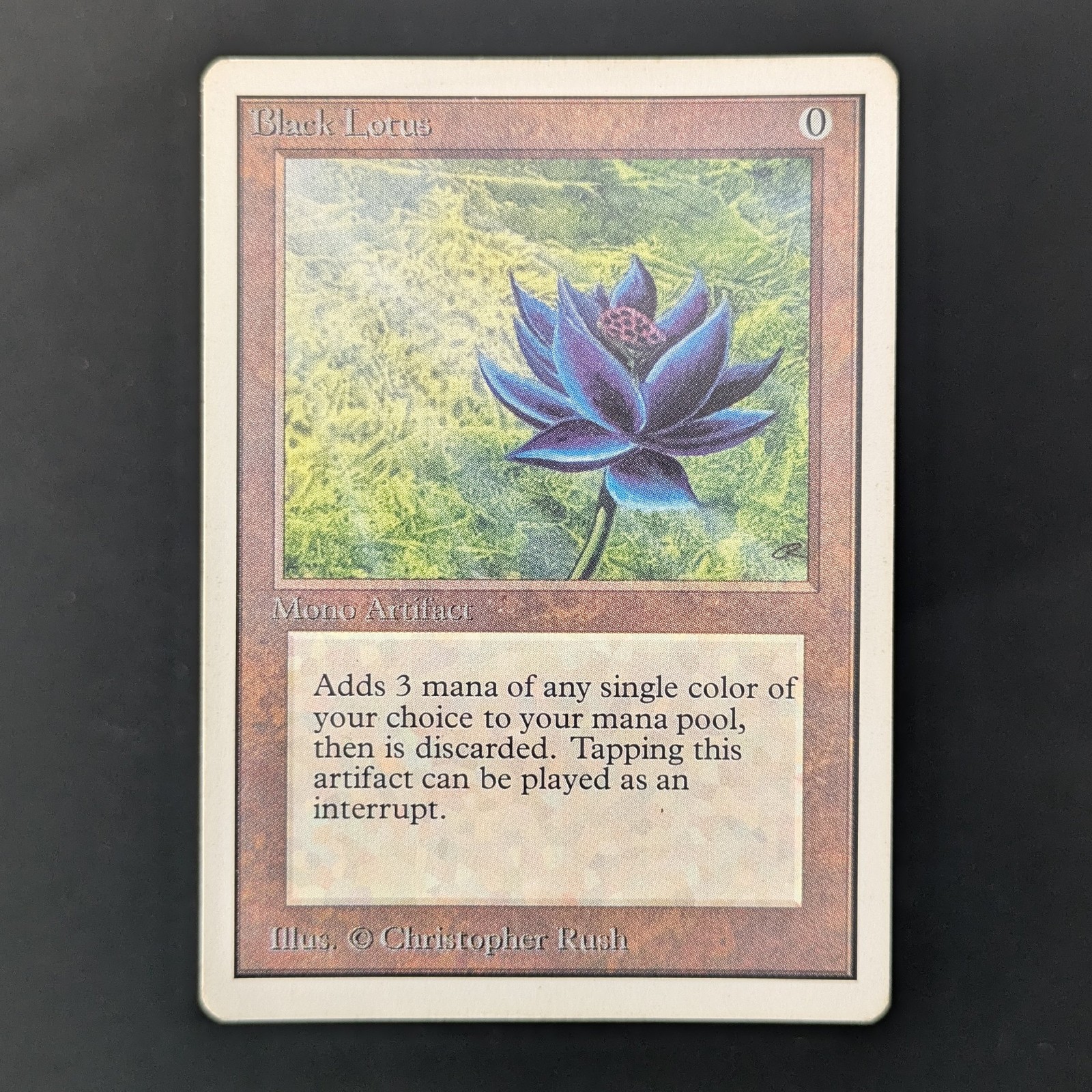 MTG \\>> Black Lotus (PL) <<// Unlimited - 341 Trading - Magic