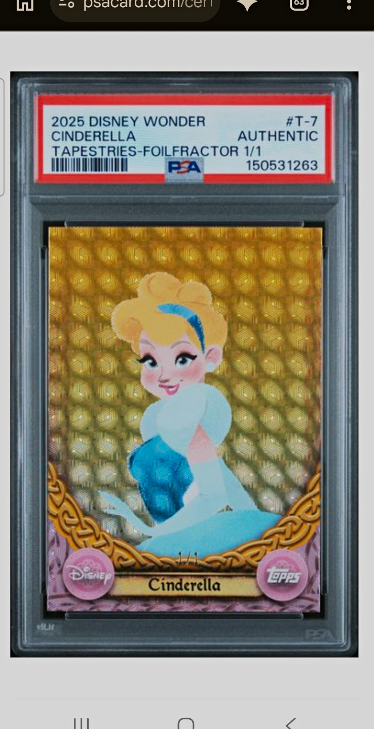 Topps Disney Cinderella  1/1 Amazing Tapestry One Of One Very Unique Cinderella