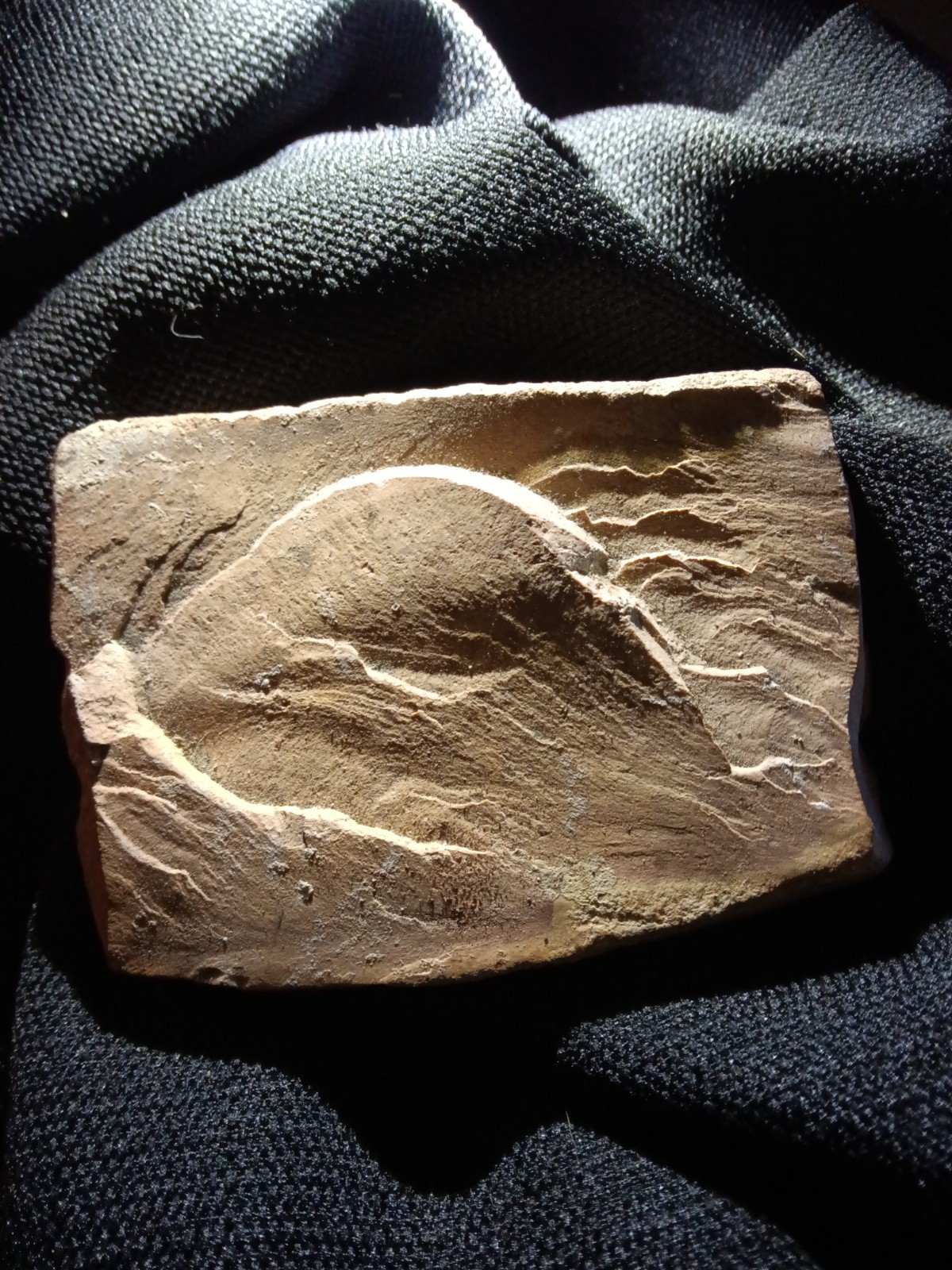Authentic Museum Quality Adena Stone Tablet Extremely Rare Native Artwork Authentic Museum Quality Adena Stone Tablet Extremely Rare Native Artwork