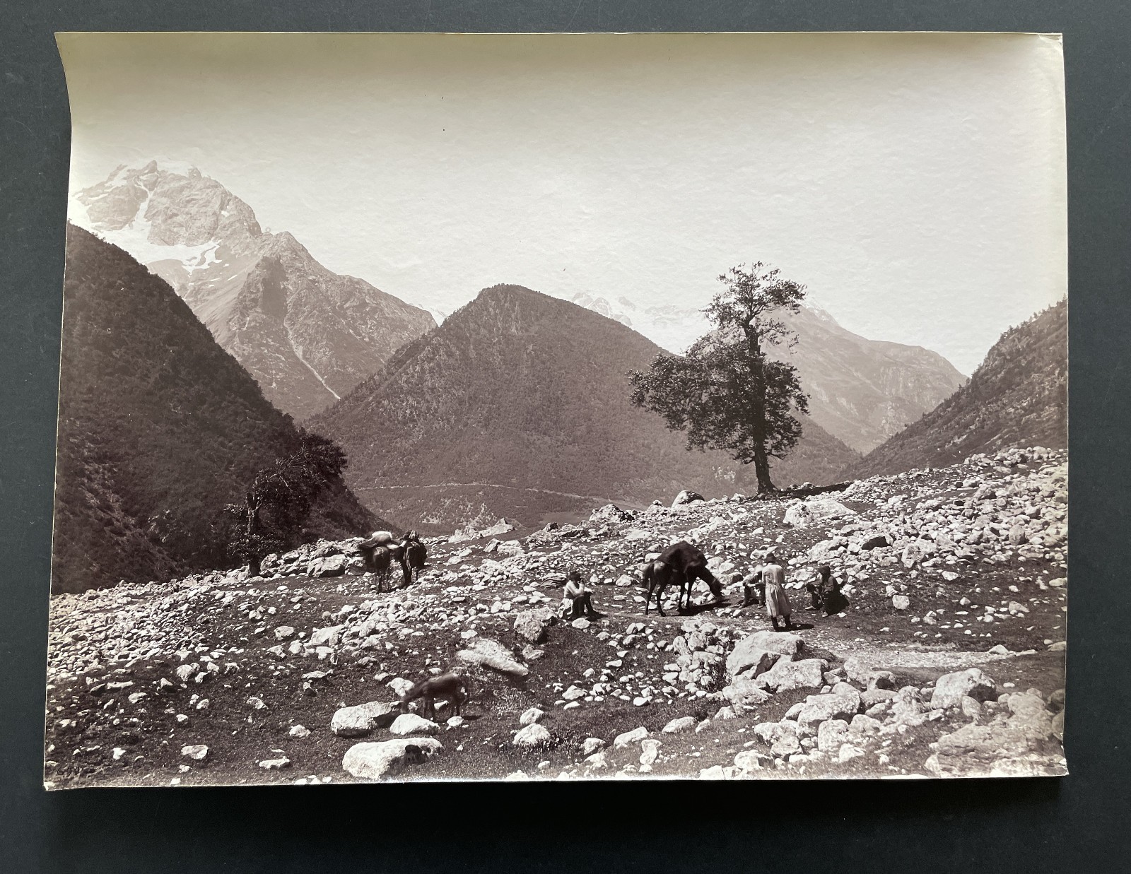 Original photo 1890 Caucasus Mountain Vittorio Sella, old photo Caucasus Mountains Original photo 1890 Caucasus Mountain Vittorio Sella, old photo Caucasus Mountains