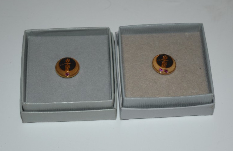 JPL NASA 5 & 10 Year Employee Appreciation Tack Rare Jet Propulsion Laboratory JPL NASA 5 & 10 Year Employee Appreciation Tack Rare Jet Propulsion Laboratory