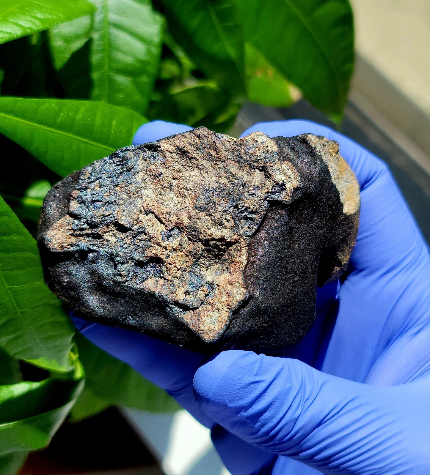Meteorite**Georgia, Junction City**231.40 gram Fresh Individual, Witnessed Fall Meteorite**Georgia, Junction City**231.40 gram Fresh Individual, Witnessed Fall