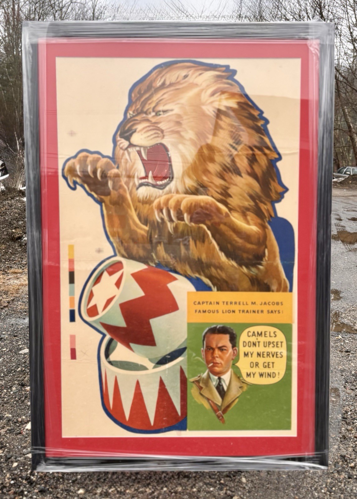 🔥RARE Vintage Ringling Bros Barnum & Bailey Terrell M Jacobs Circus Lion Poster 🔥RARE Vintage Ringling Bros Barnum & Bailey Terrell M Jacobs Circus Lion Poster