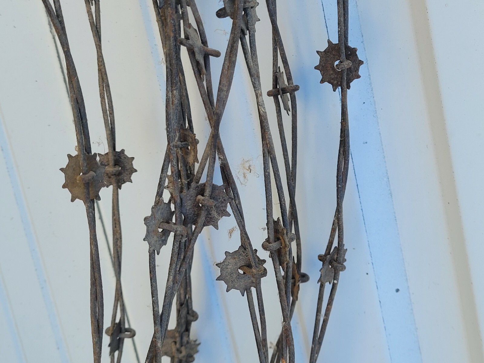 Antique Rare Spur Rowel Barbed Wire circa 1887. 96 feet Antique Rare Spur Rowel Barbed Wire circa 1887. 96 feet