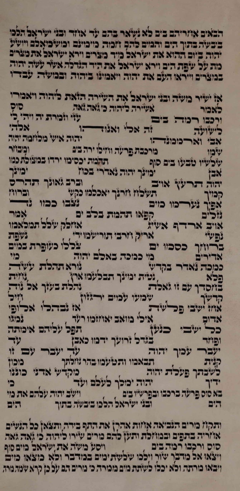 Kosher Authentic Sefer Torah Scroll AriZal