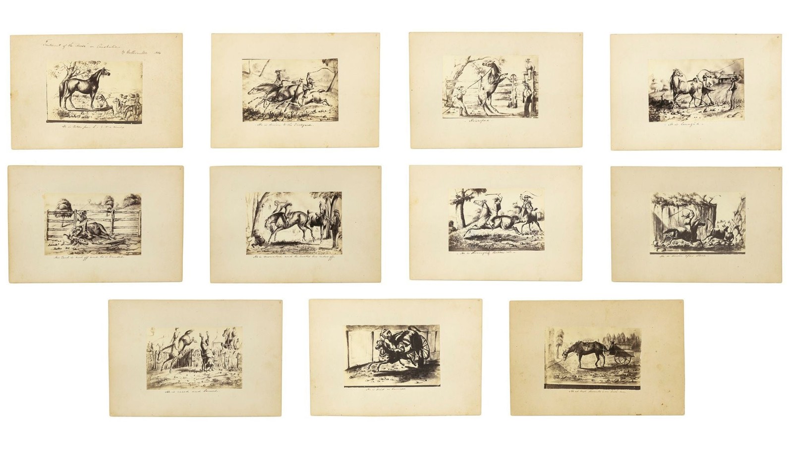 George HAMILTON / 'Treatment of the Horse in Australia | by Geo Hamilton 1864'