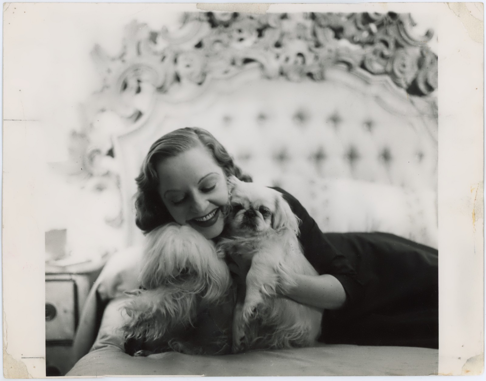 Tallulah Bankhead Actress Pekingese Otto Fenn Studio Vintage Press Photo NYC Tallulah Bankhead Actress Pekingese Otto Fenn Studio Vintage Press Photo NYC