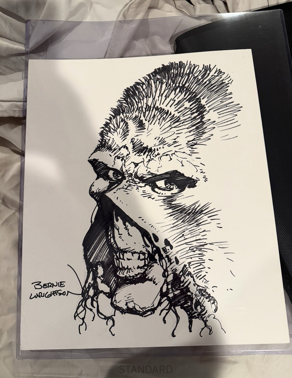 Bernie Wrightson 14 X 17 Original Swamp Thing Sketch Large Unframed DC Comics Bernie Wrightson 14 X 17 Original Swamp Thing Sketch Large Unframed DC Comics