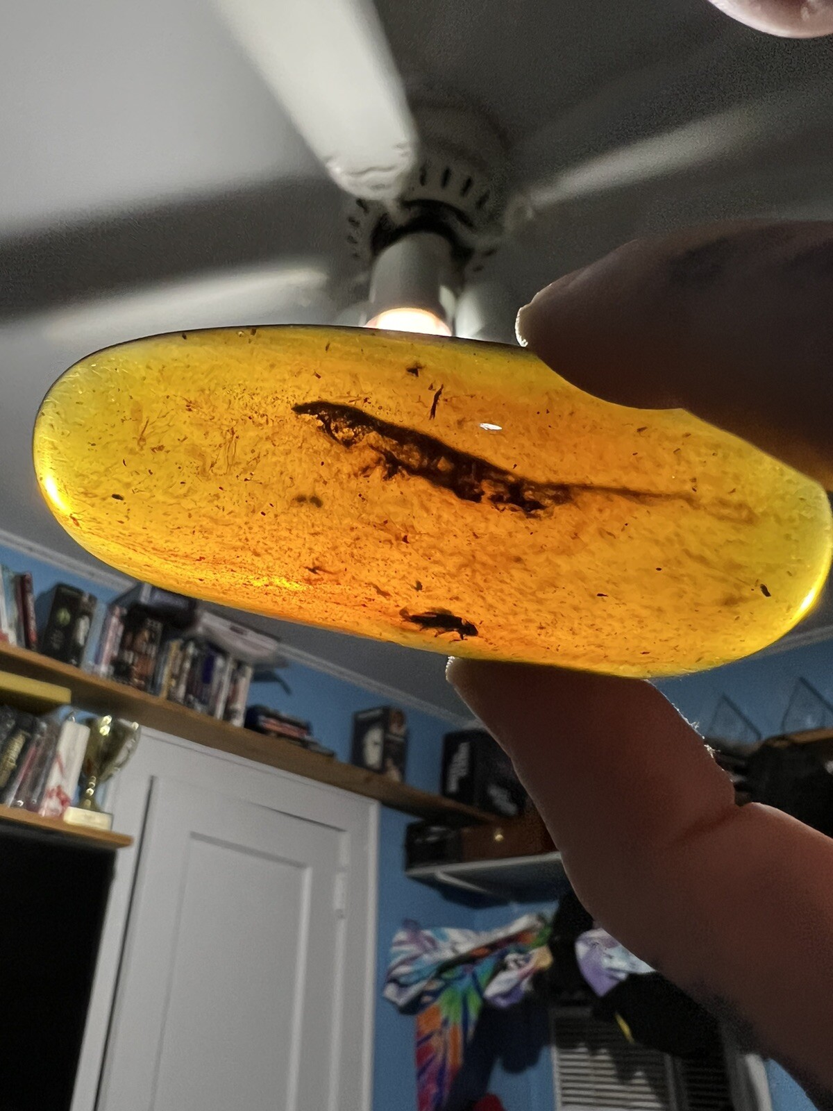 Burmite Amber Fossil Complete Lizard Skeleton Museum Quality Myanmar Burmite Amber Fossil Complete Lizard Skeleton Museum Quality Myanmar