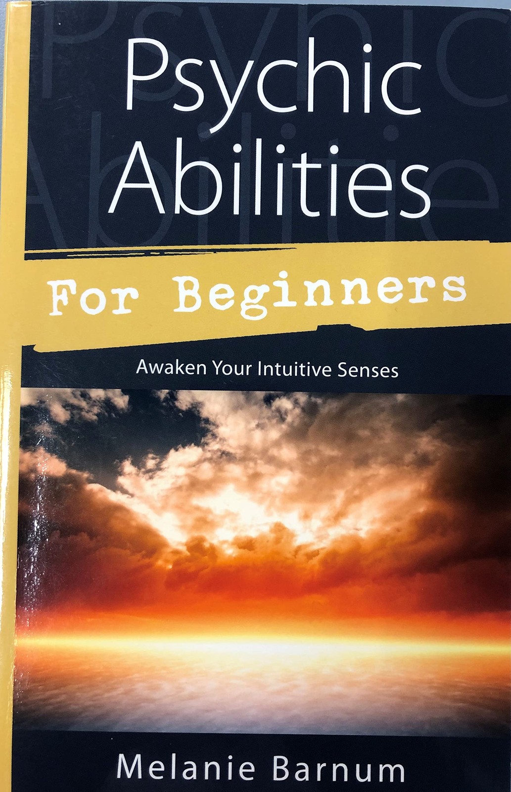 Psychic Abilities for Beginners: Awaken Your Intuitive Senses (Llewellyn's For B Psychic Abilities for Beginners: Awaken Your Intuitive Senses (Llewellyn's For B