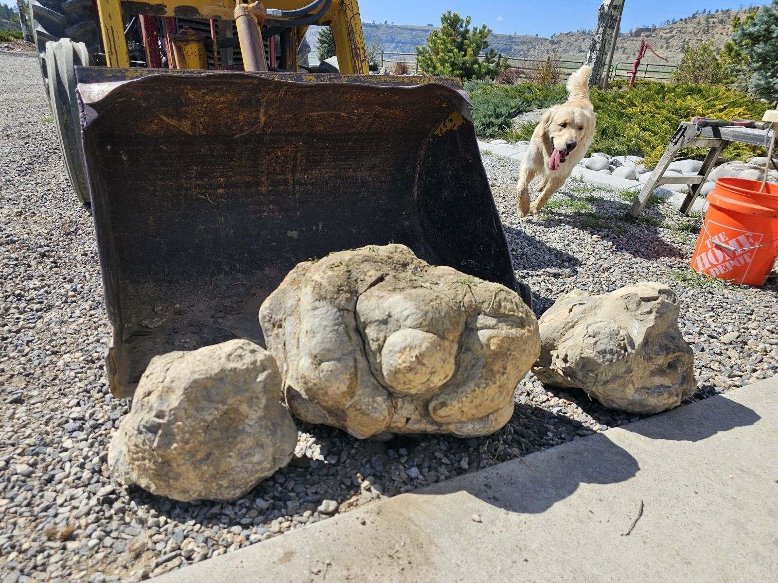 Raw Form Septarian Geodetic Fossil Crystal weighing 1,000lbs Montana Rare Find