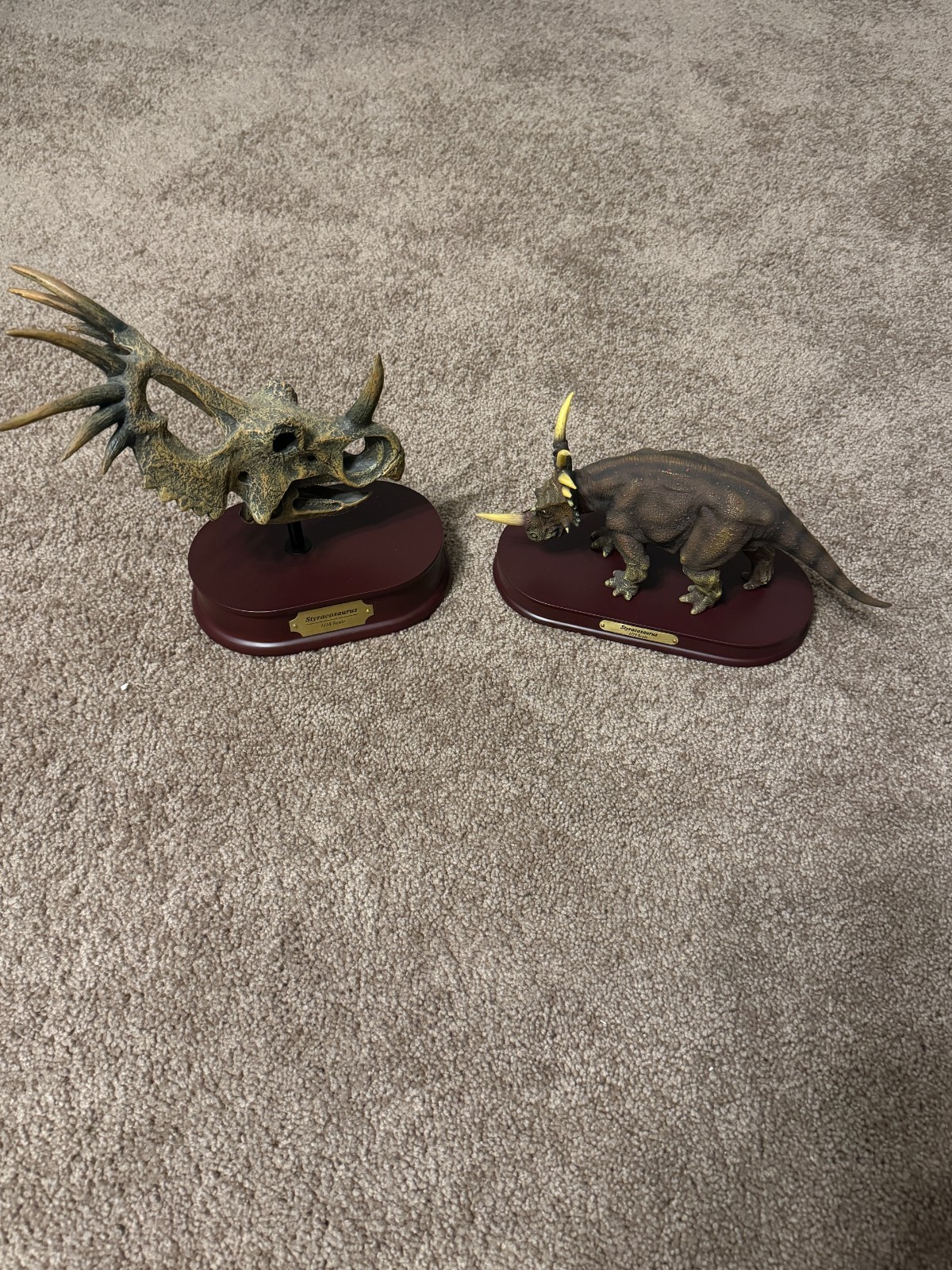 Dinostoreus Styracosaurus Skull and Finished Model Set Dinostoreus Styracosaurus Skull and Finished Model Set