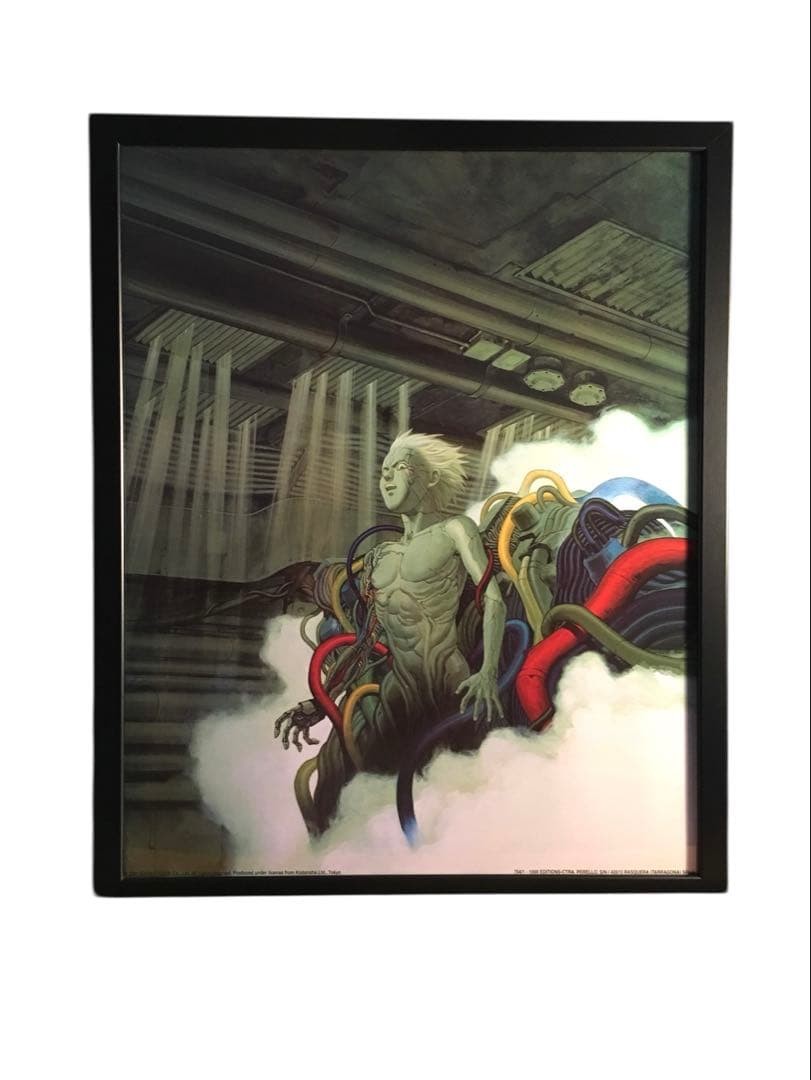 AKIRA Tetsuo Poster Art 40x50 Europe Size Ready to Use Authentic Genuine AKIRA Tetsuo Poster Art 40x50 Europe Size Ready to Use Authentic Genuine