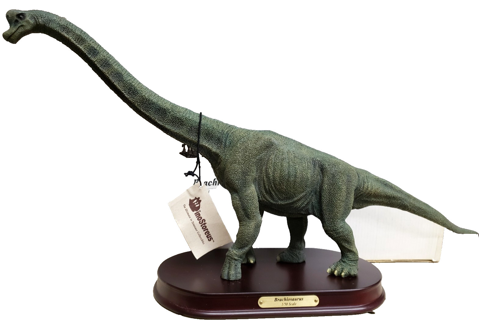 Brachiosaurus Finished Dinosaur Model 1/50 Scale Replica by DinoStoreus IOB Tag Brachiosaurus Finished Dinosaur Model 1/50 Scale Replica by DinoStoreus IOB Tag