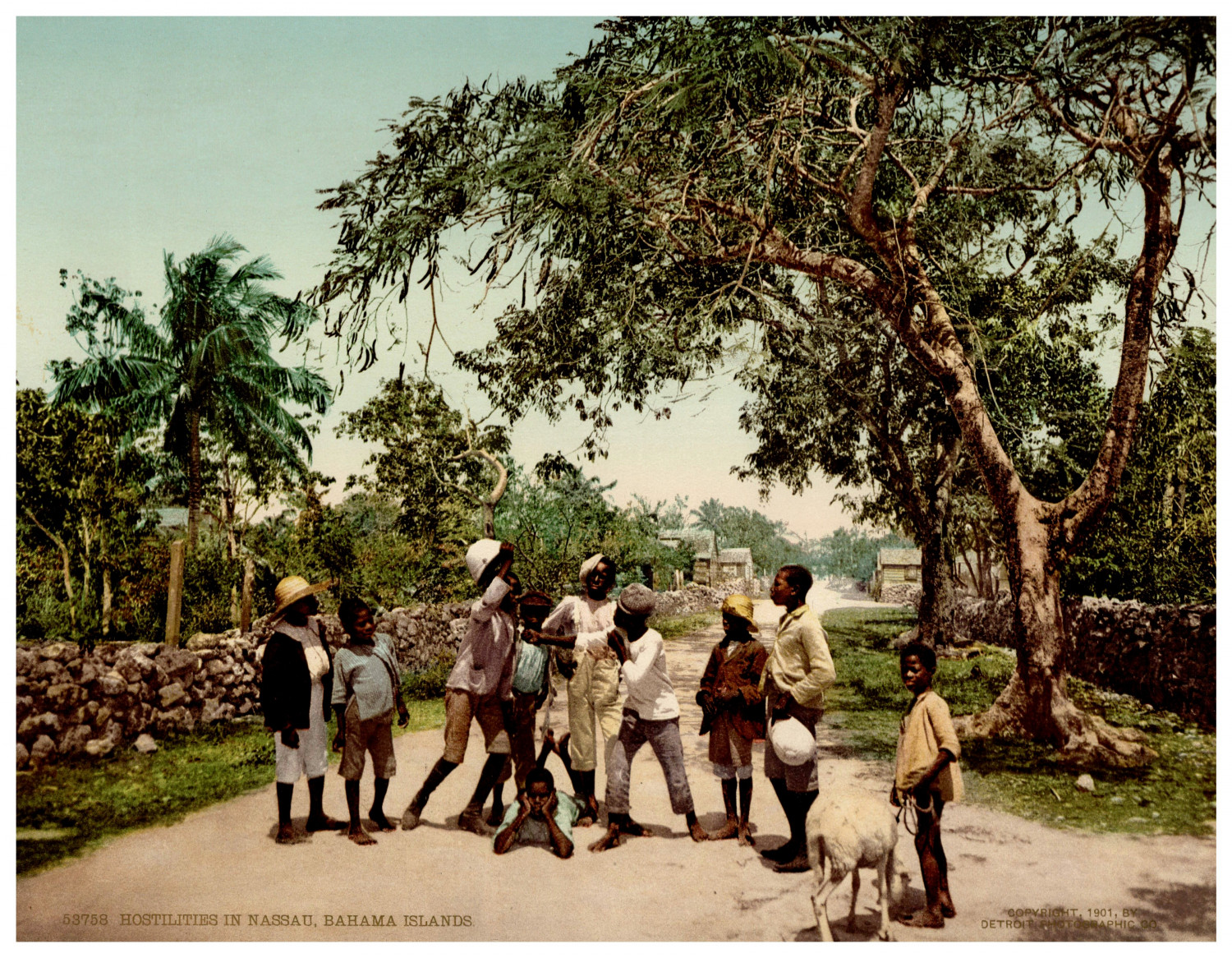 Bahama Islands, Nassau, hostilities Vintage photochrom print by Detroit Photochr