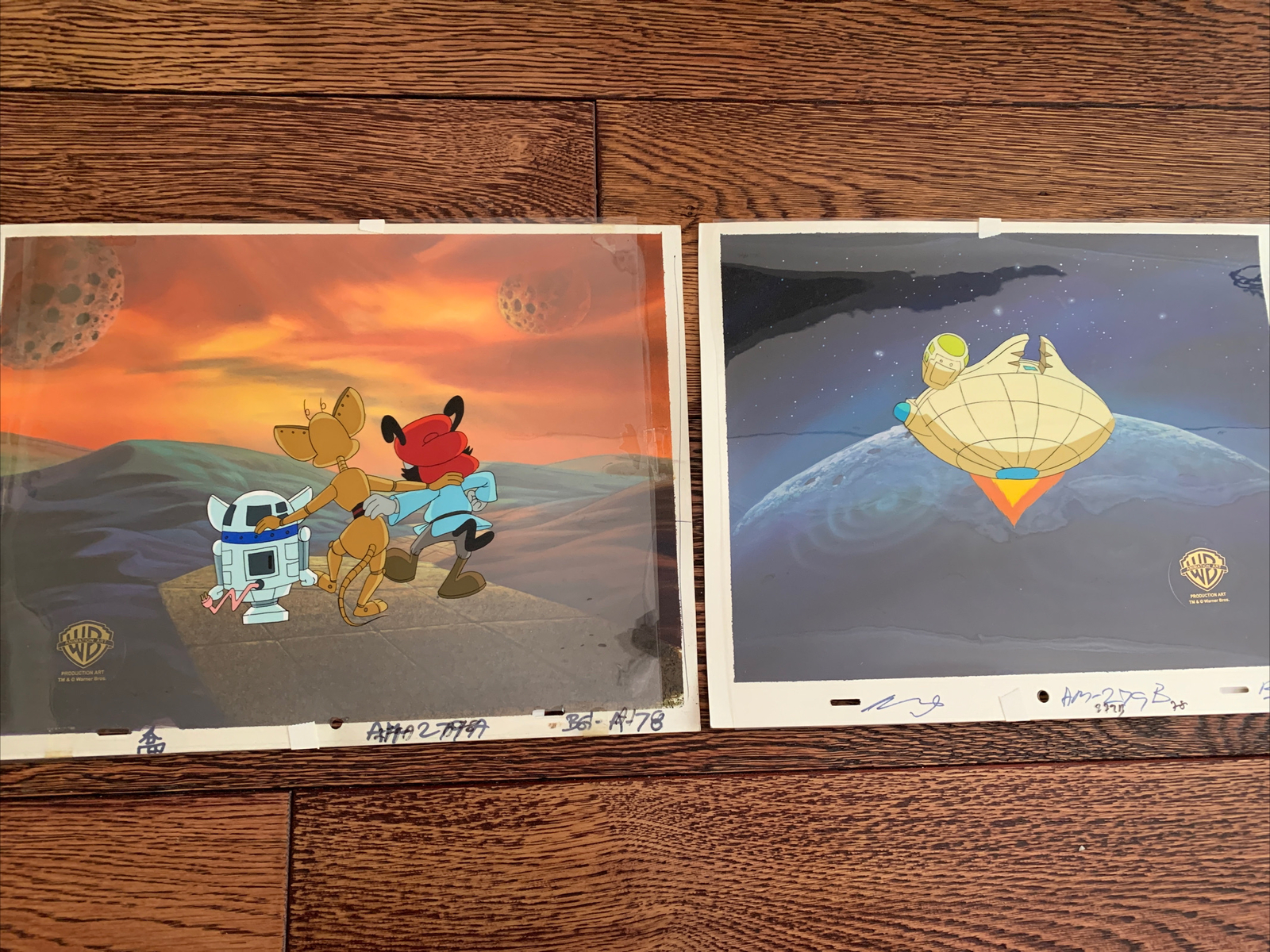 TWO Animaniacs Production cell & Production background Star Warners TWO Animaniacs Production cell & Production background Star Warners