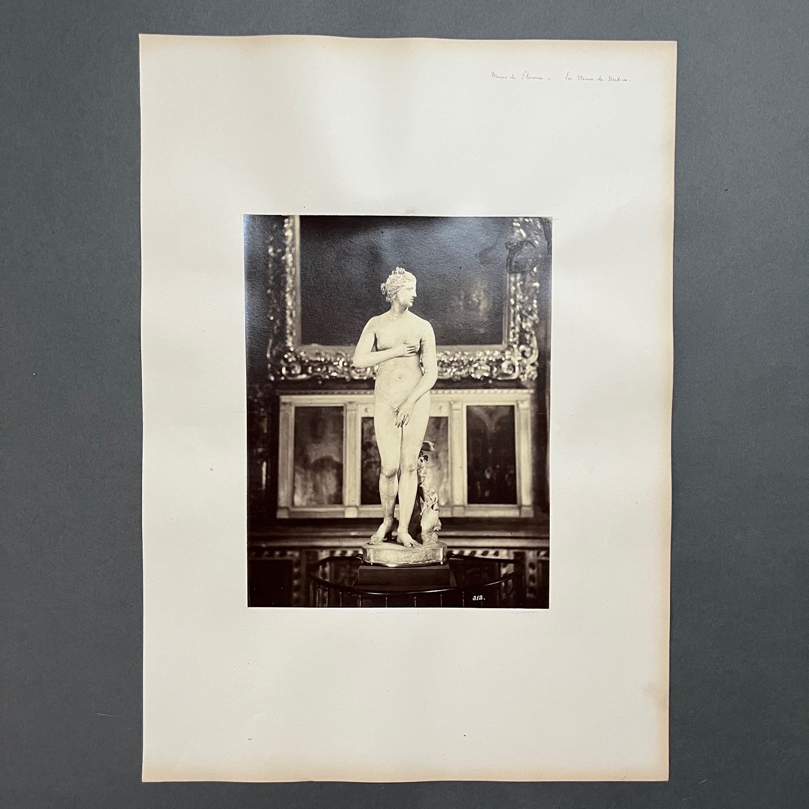 Florence Museum Albumin Photo - Medici Venus 19th Century K38 Florence Museum Albumin Photo - Medici Venus 19th Century K38