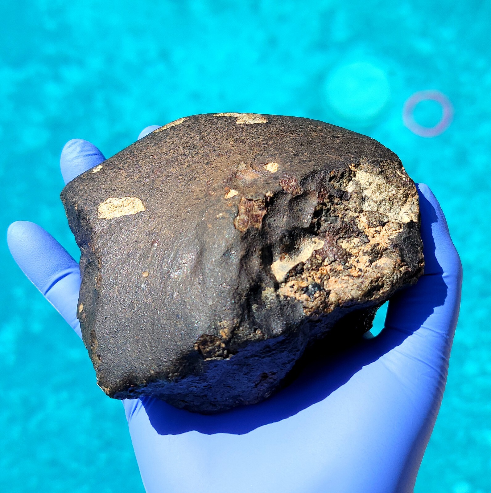 Meteorite**NWA Unc.; Flight Oriented Individual**1,459.0 grams, Highest Quality Meteorite**NWA Unc.; Flight Oriented Individual**1,459.0 grams, Highest Quality