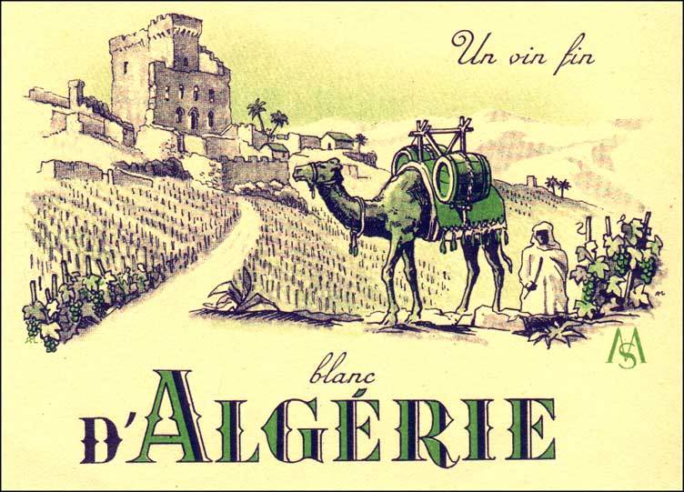1000 (ONE THOUSAND) SPECTACULAR ALGERIA WHITE WINE LABELS of the 1950's 