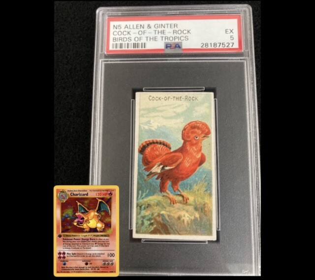 N5 Allen & Ginter Cock of the Rock Birds of the Tropics PSA 5 *1889’s Charizard*