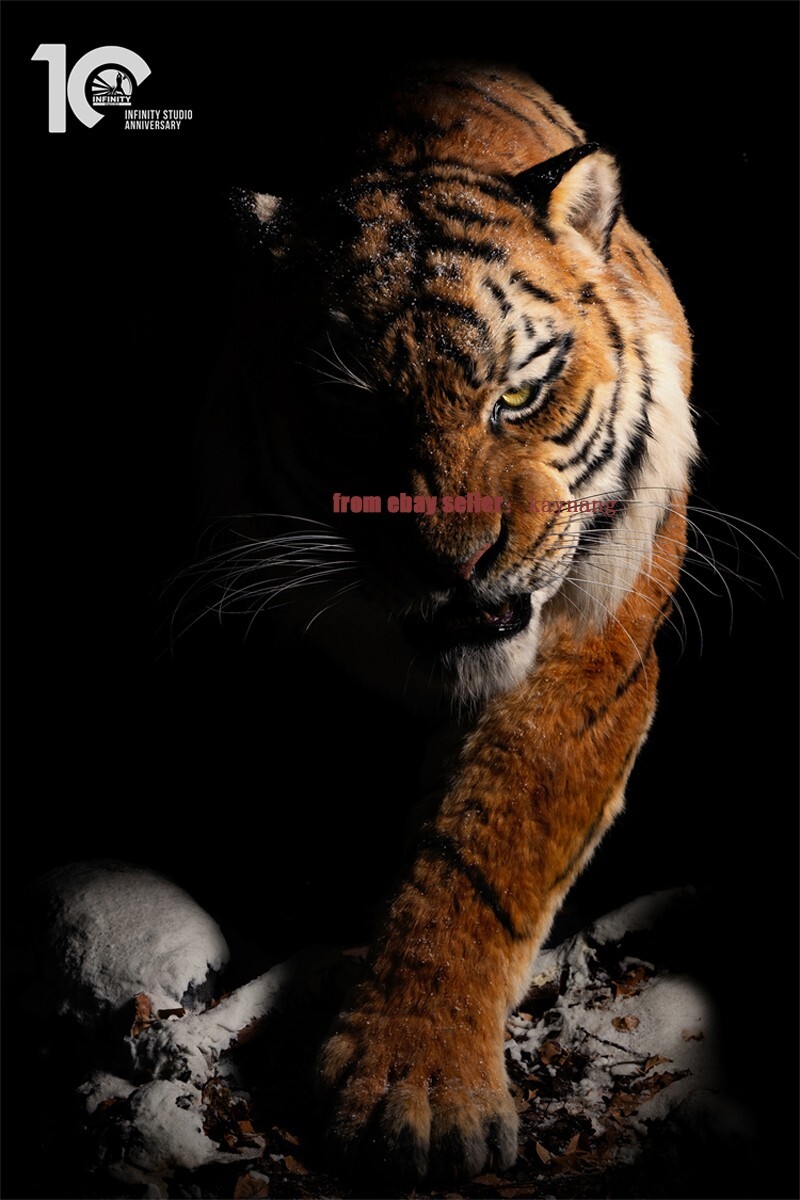 Infinity Studio Museum Grade Replica 1/1 Scale Manchurian Tiger Statue Infinity Studio Museum Grade Replica 1/1 Scale Manchurian Tiger Statue