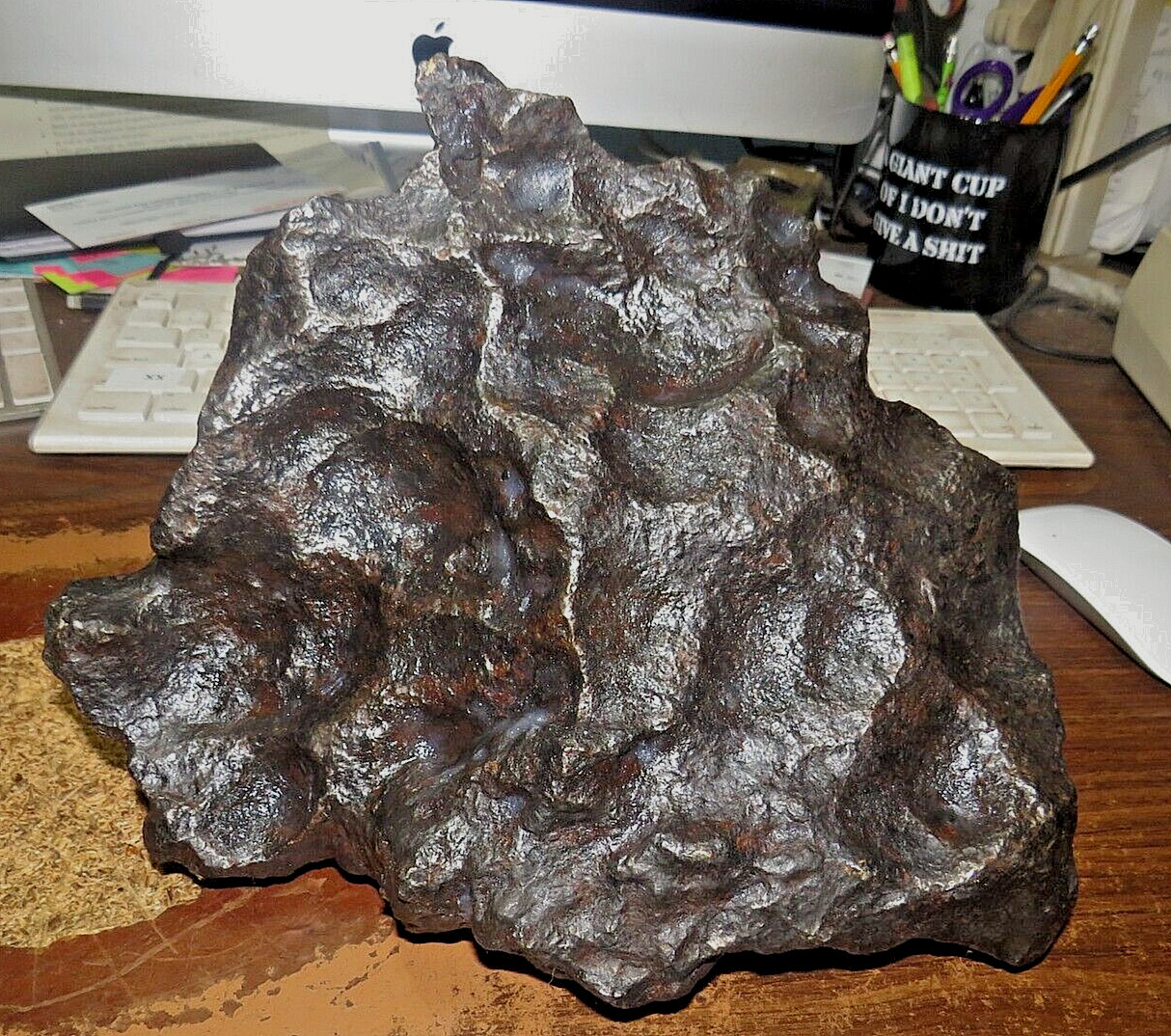 16570 gm CAMPO DEL CIELO METEORITE HUGE AAA GRADE METEORITE 36.5 LBS JAL 16570 gm CAMPO DEL CIELO METEORITE HUGE AAA GRADE METEORITE 36.5 LBS JAL