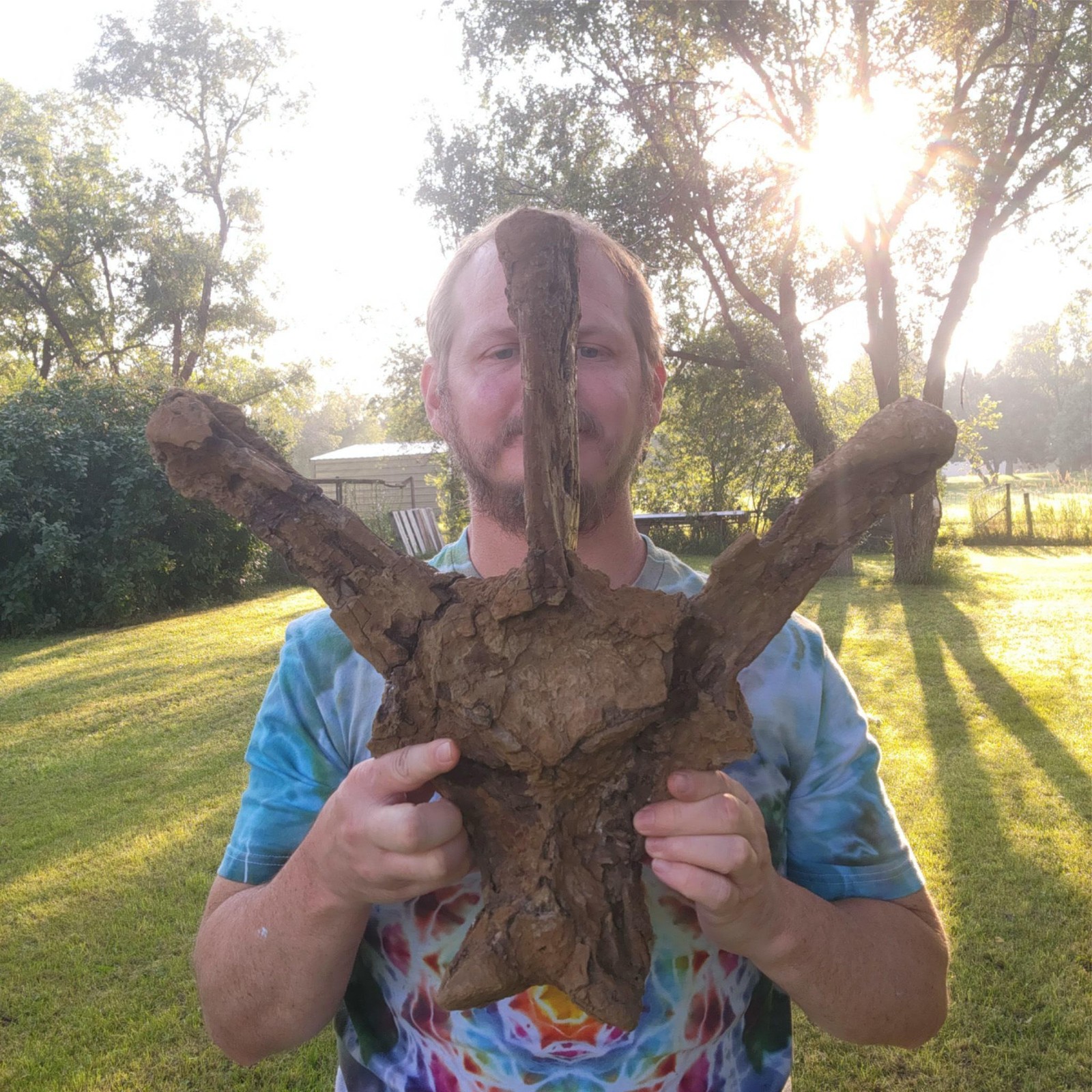 Torosaurus Triceratops Vertebra Dinosaur Fossil Hell Creek Formation Cretaceous Torosaurus Triceratops Vertebra Dinosaur Fossil Hell Creek Formation Cretaceous