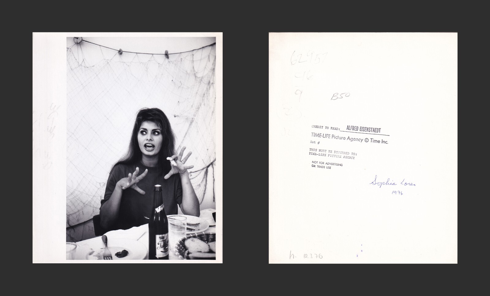 ALFRED EISENSTAEDT - 1976 - Sophia Loren - original photograph 25 x 20,3 cm RARE ALFRED EISENSTAEDT - 1976 - Sophia Loren - original photograph 25 x 20,3 cm RARE