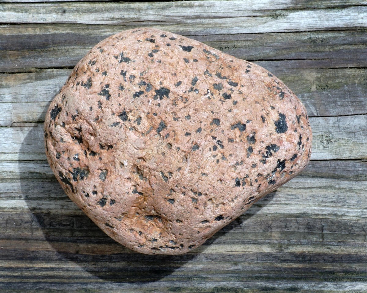 Cape Cod Rock. From my Beach. You'll like it This one is smaller tho Cape Cod Rock. From my Beach. You'll like it This one is smaller tho