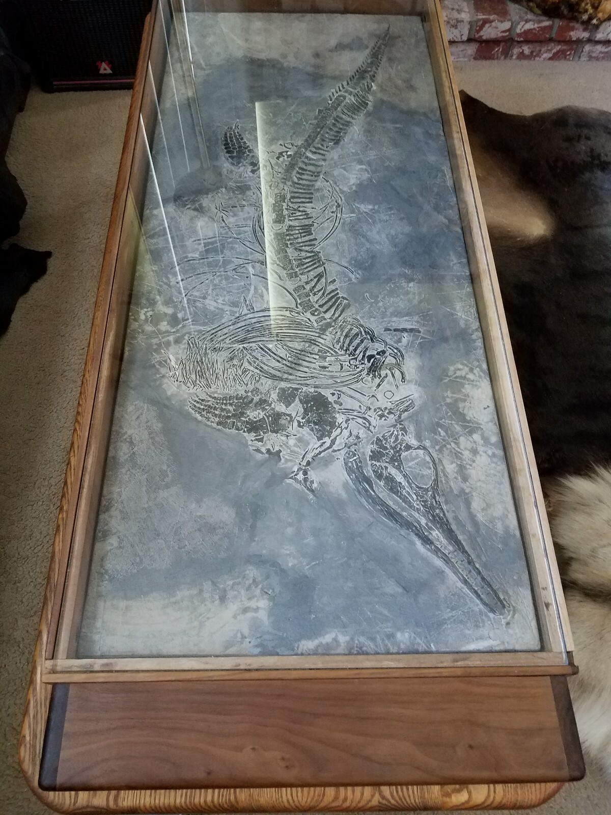 Rare 100% Genuine Ichthyosaur Dinosaur Fish Reptile Fossil Plate Exquisite