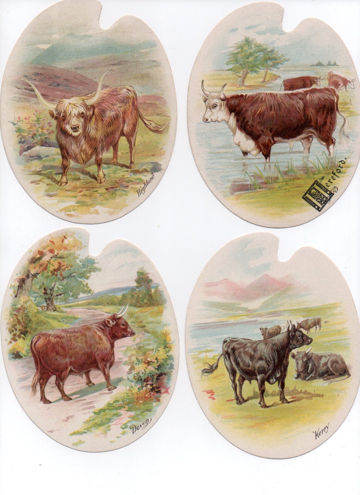 VERY RARE LIEBIG OXEN FIGURE