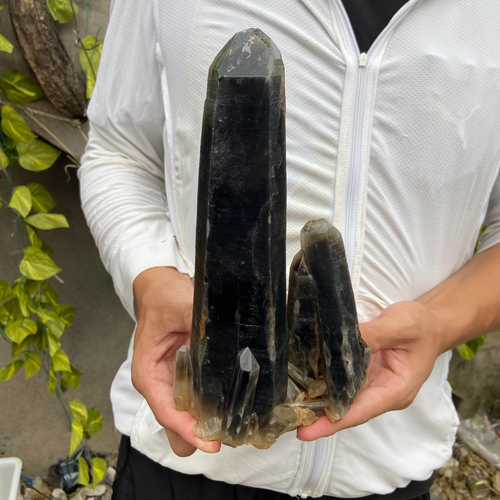 3.8lb Natural Smoky Black Quartz Crystal Cluster Raw Mineral Specimen healing 3.8lb Natural Smoky Black Quartz Crystal Cluster Raw Mineral Specimen healing