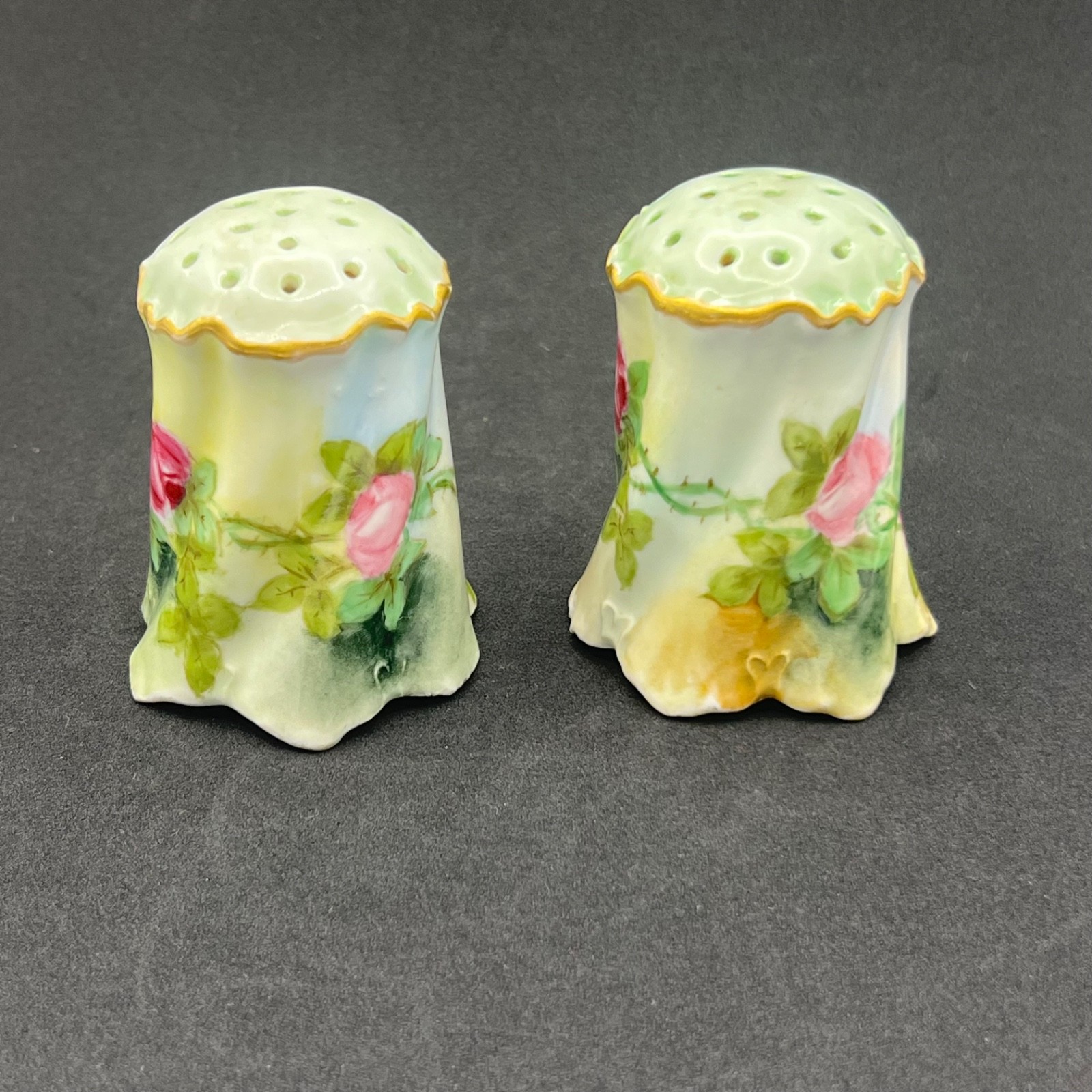 Antique Rosenthal Bavaria Hand Painted Porcelain Salt Pepper Shakers Signed SAB