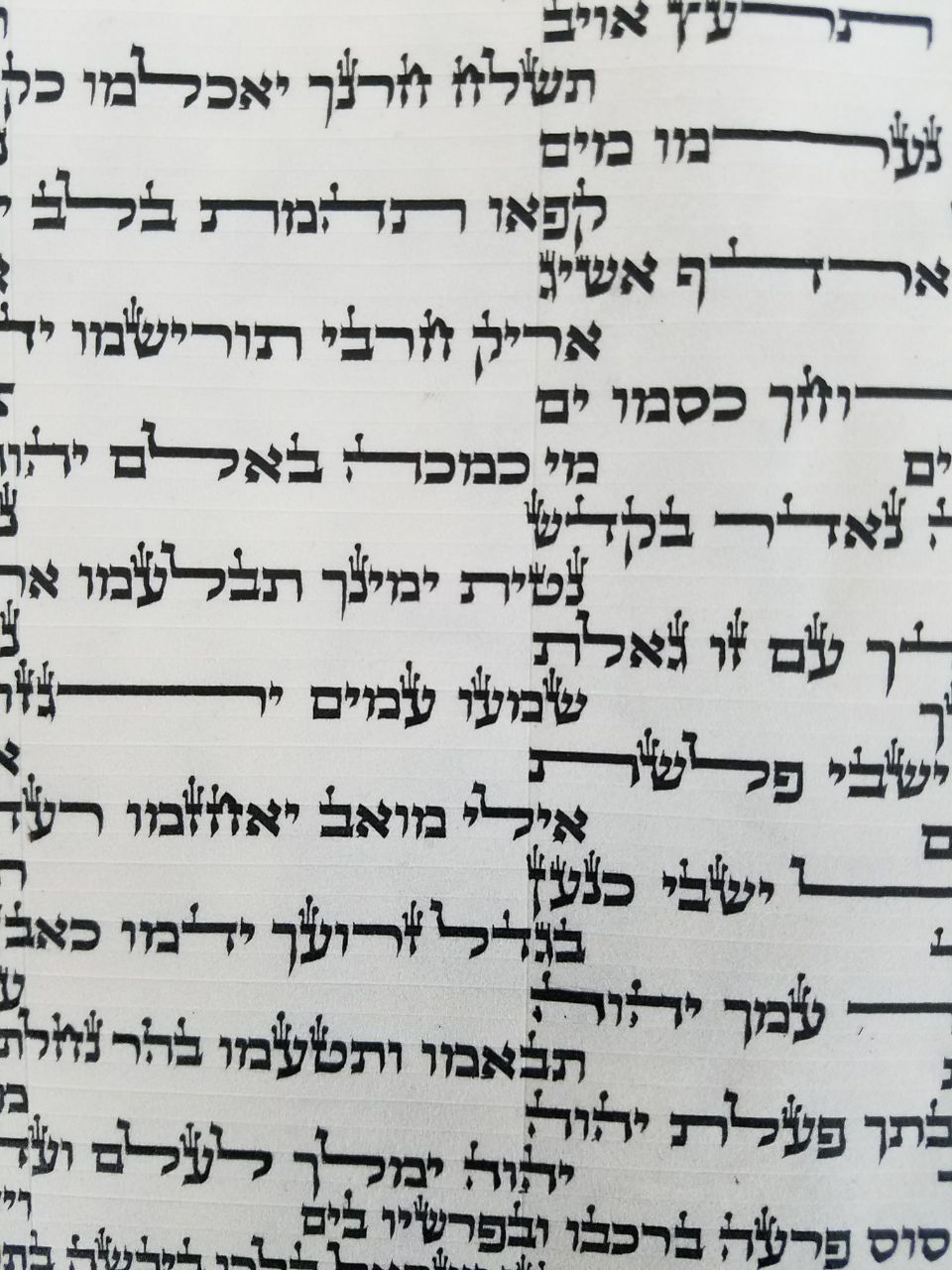 Torah new Sefer Torah Sefaradi very Mehudar 42 c