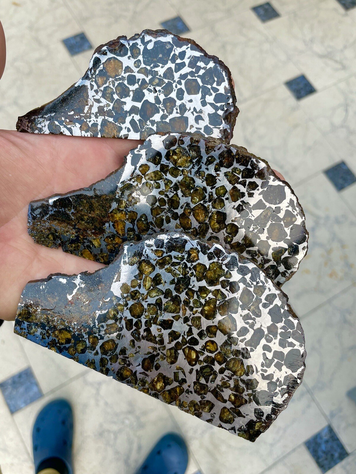 Amazing Seymchan Palasite Meteorite slab´s family three hedgehogs Meteorit Igel Amazing Seymchan Palasite Meteorite slab´s family three hedgehogs Meteorit Igel