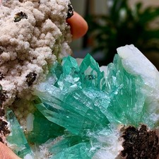 418G Natural apophyllite  on zeolite Crystal Quartz Ore Healing Mineral Specimen picture