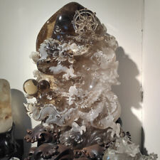 286LB+ A+Natural Smoky Quartz Dragon Skull Large Hair Crystal Carvings Reiki Gem picture