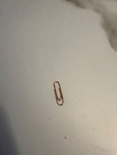 PapER CLiP - that’s it. Just a paper clip  picture