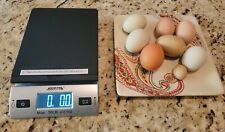 One of a Kind Rare Very Tiny Easter Egger Hen Olive Green Egg - Weighs 0.4 OZ  picture