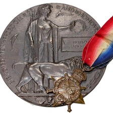 KIA WW1 19 & 4Bn Australian Memorial Plaque & medal Sanderson Delville Wood 1916 picture