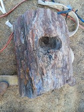 Perfectly Full Round Freestanding Petrified Wood Stump with 3 woodpecker holes  picture