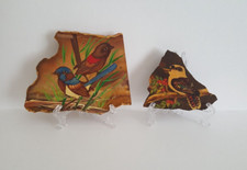 Vintage Hand Painted Koroit Yowah Opal Marble Qld, Australia Native Birds 1980's picture