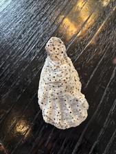Virgin Mary holding Jesus resemblance found seashell picture