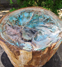 42.50 Kg Blue Opalized Petrified Wood Polished Beautiful stone for Home Decor picture